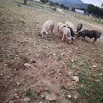 La Ferme Apartament *