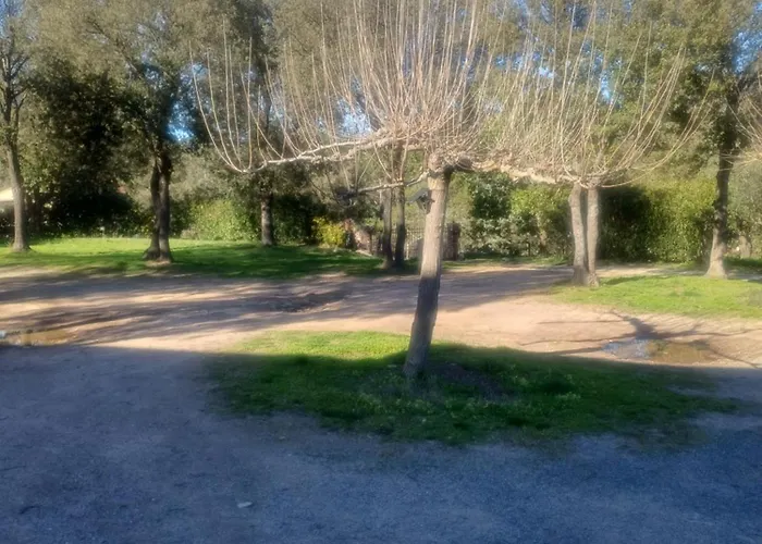 La Ferme Moltifao
