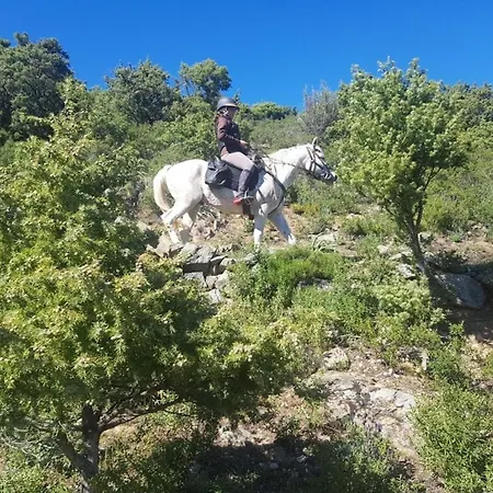 La Ferme Διαμέρισμα Moltifao