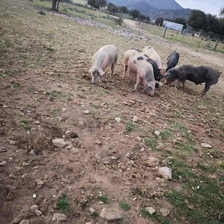La Ferme 아파트 *