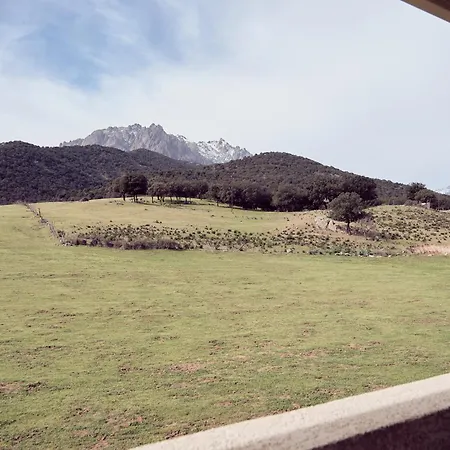 La Ferme Moltifao