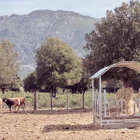 La Ferme 아파트 *