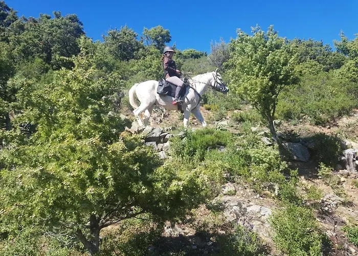 La Ferme Διαμέρισμα Moltifao