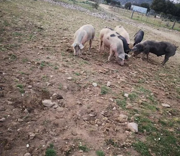 La Ferme Διαμέρισμα *